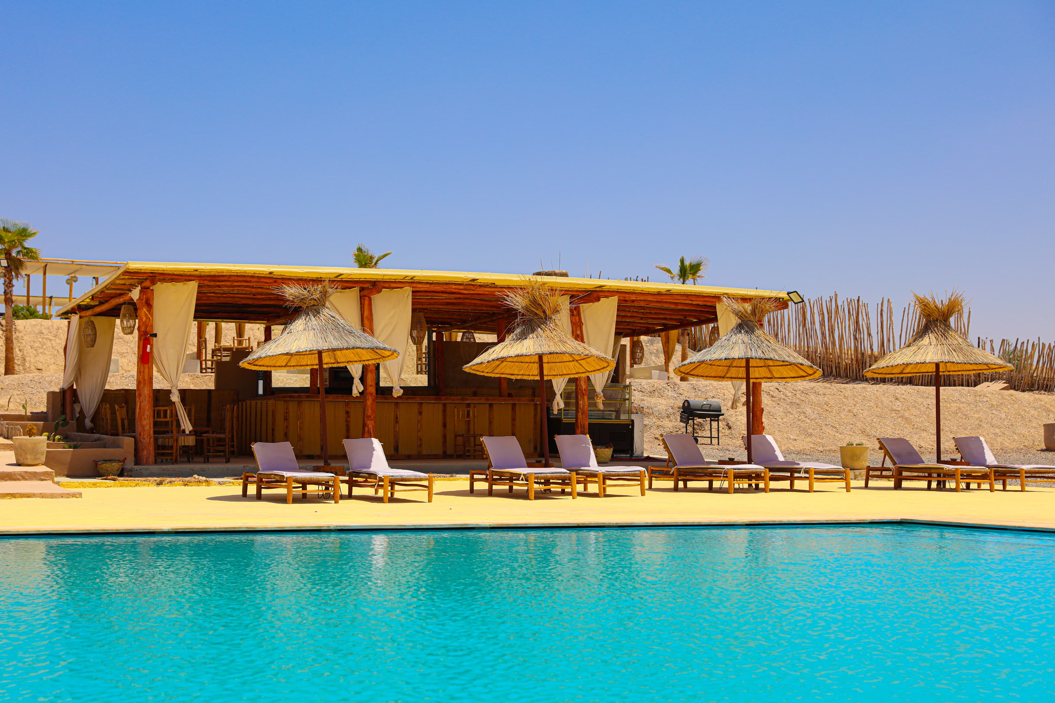 WhatsApp Image 2025-03-21 à 22.41.11_b10ea8c2.jpg